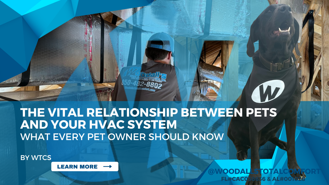 The Vital Relationship Between Pets and Your HVAC System: What Every Pet Owner Should Know